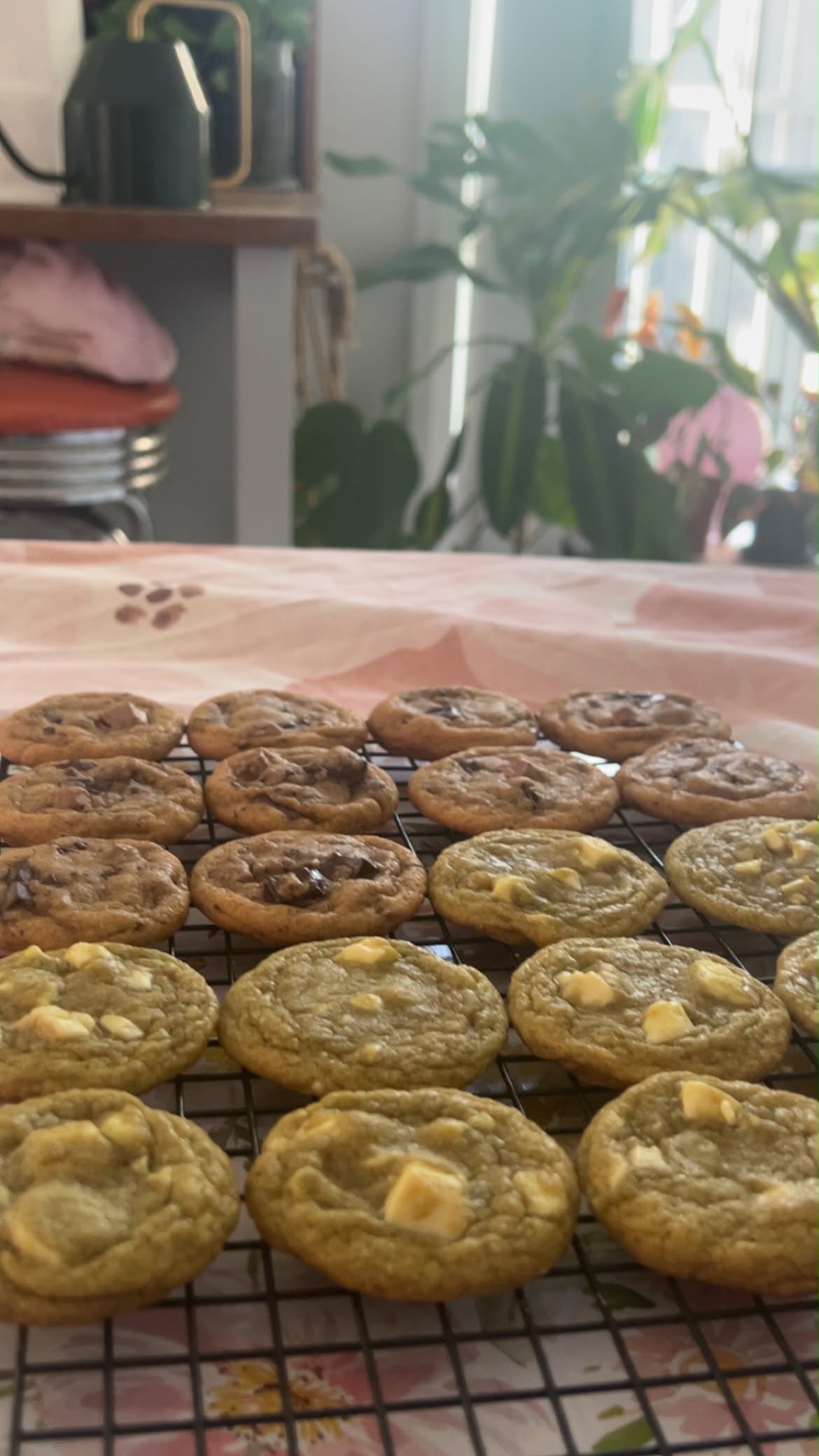 Freshly baked chocolate chunk and matcha cookies cooling in Talya’s home kitchen